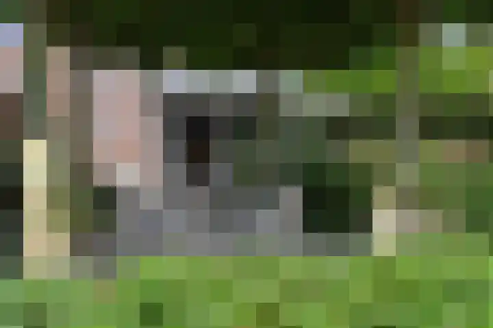 Harry Pauwlaan 2 Den Haag thumbnail 44