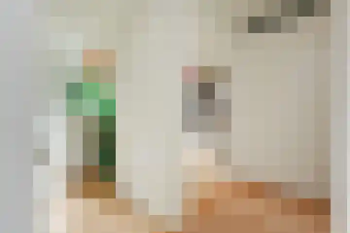Harry Pauwlaan 2 Den Haag thumbnail 62