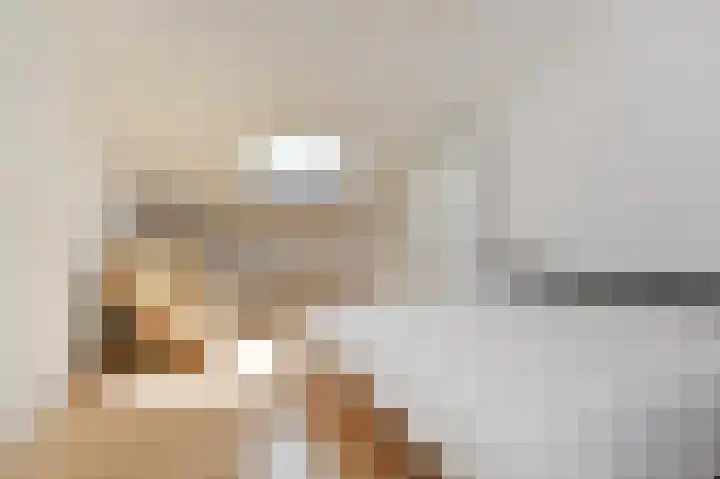 Harry Pauwlaan 2 Den Haag thumbnail 69