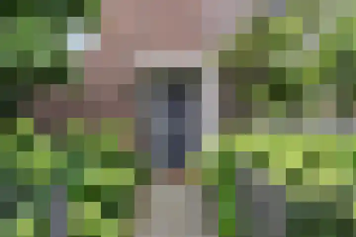 Harry Pauwlaan 2 Den Haag thumbnail 9
