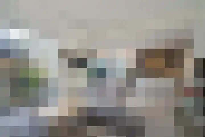 Harry Pauwlaan 21 Den Haag thumbnail 11