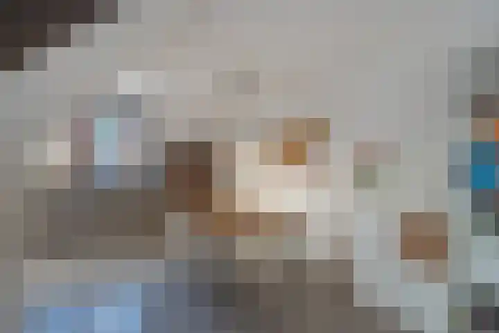 Harry Pauwlaan 21 Den Haag thumbnail 18