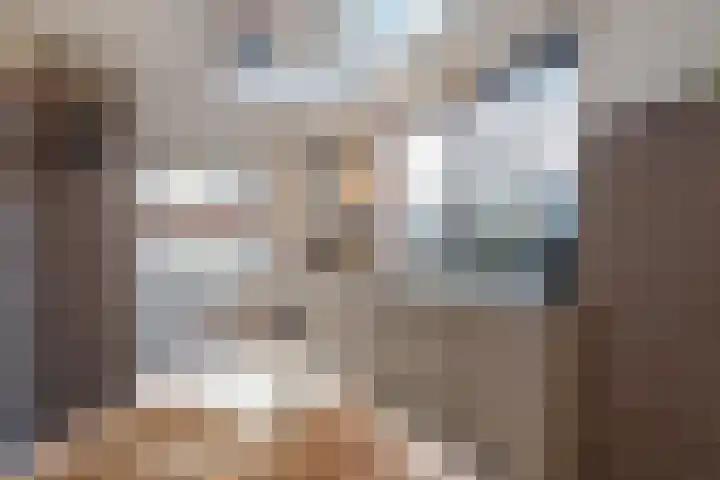 Harry Pauwlaan 21 Den Haag thumbnail 19