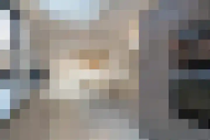 Harry Pauwlaan 21 Den Haag thumbnail 20
