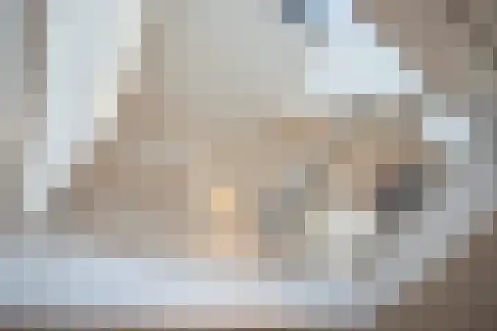 Harry Pauwlaan 21 Den Haag thumbnail 4