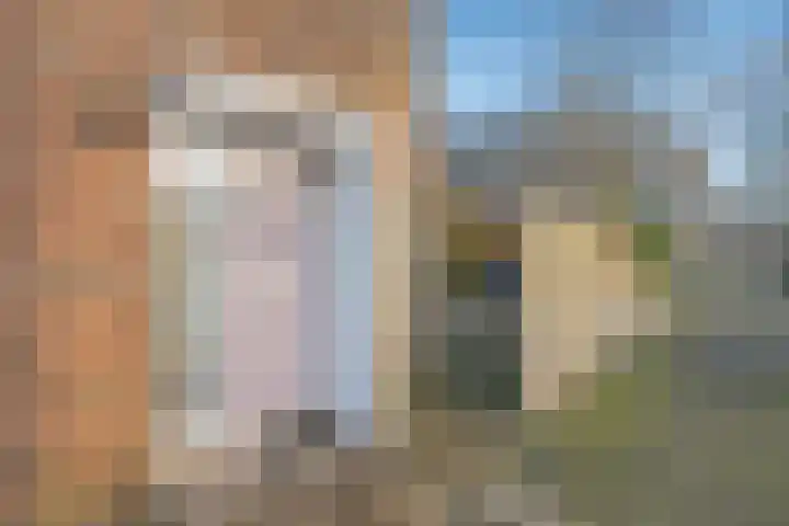 Harry Pauwlaan 21 Den Haag thumbnail 6