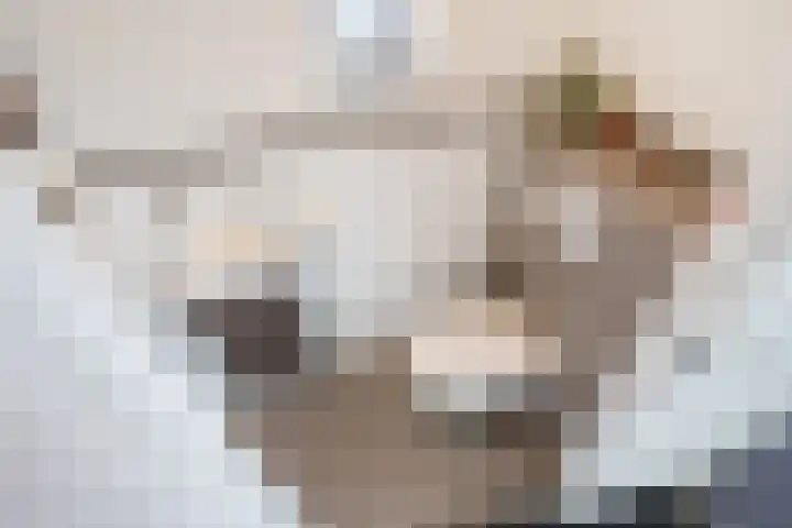 Harry Pauwlaan 21 Den Haag thumbnail 8