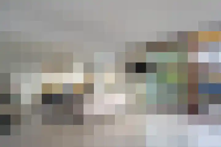 Harry Pauwlaan 21 Den Haag thumbnail 9
