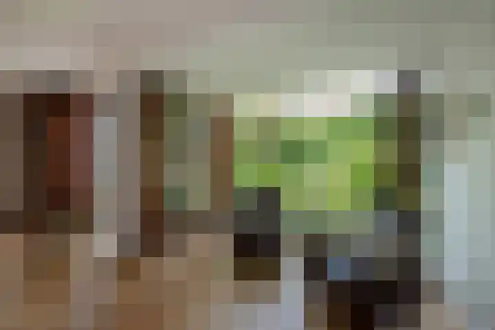 Harry Pauwlaan 4 Den Haag thumbnail 12