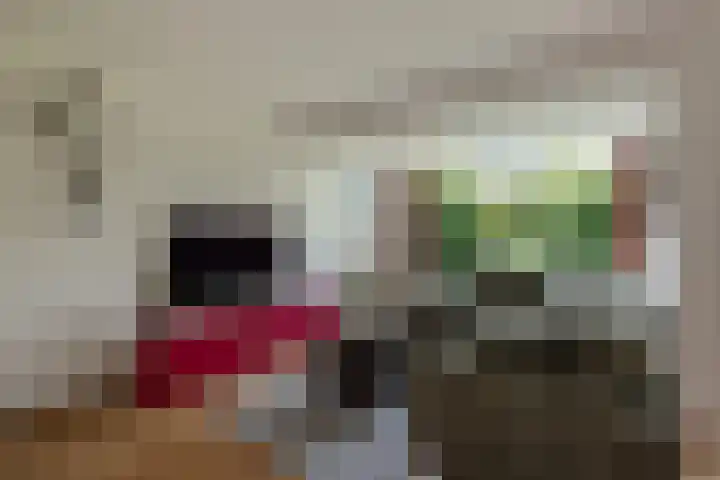 Harry Pauwlaan 4 Den Haag thumbnail 13