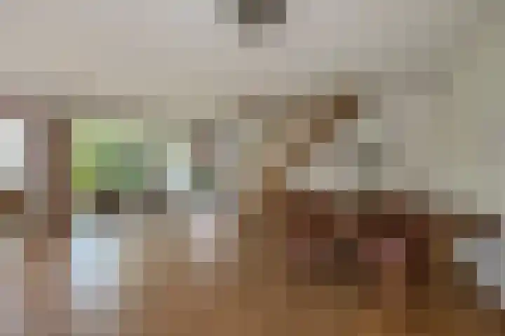 Harry Pauwlaan 4 Den Haag thumbnail 15