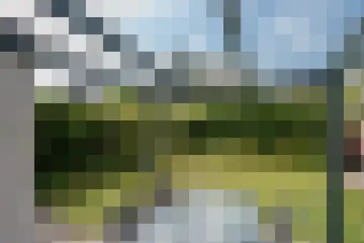 Harry Pauwlaan 4 Den Haag thumbnail 18