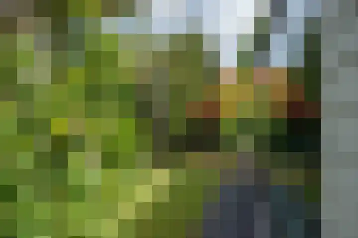 Harry Pauwlaan 4 Den Haag thumbnail 19