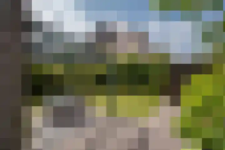 Harry Pauwlaan 4 Den Haag thumbnail 21