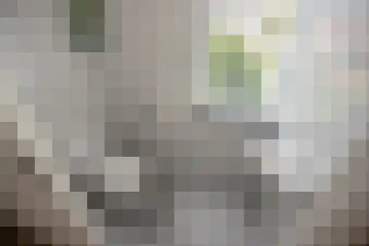 Harry Pauwlaan 4 Den Haag thumbnail 28