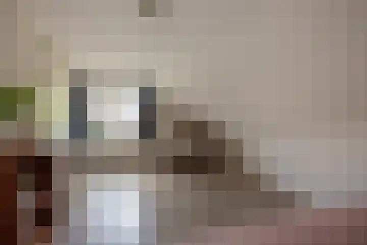Harry Pauwlaan 4 Den Haag thumbnail 30