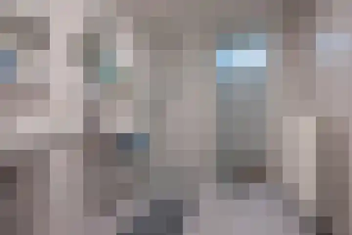 Harry Pauwlaan 4 Den Haag thumbnail 32