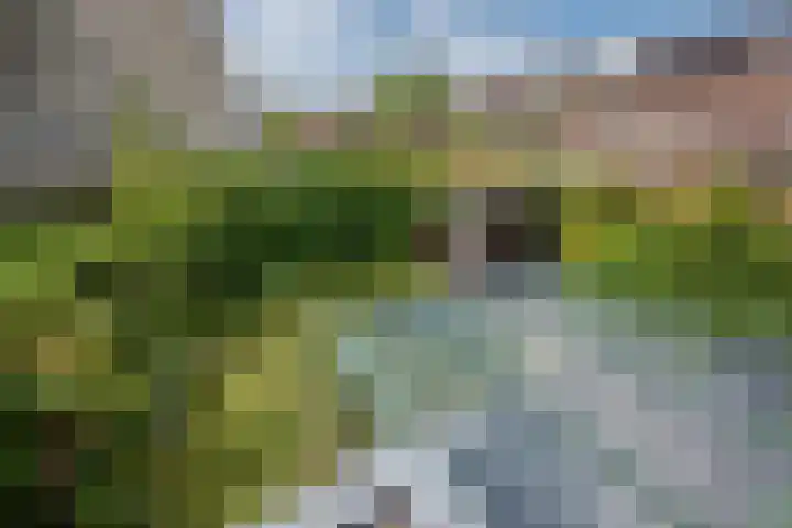 Harry Pauwlaan 4 Den Haag thumbnail 35