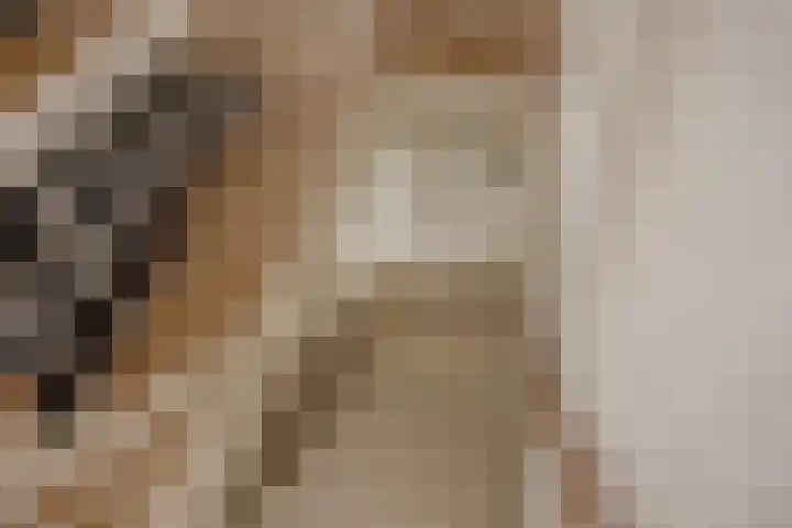 Harry Pauwlaan 4 Den Haag thumbnail 36