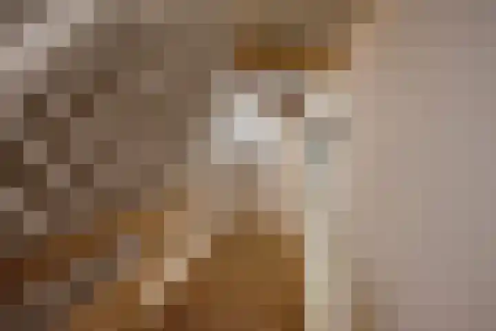 Harry Pauwlaan 4 Den Haag thumbnail 37