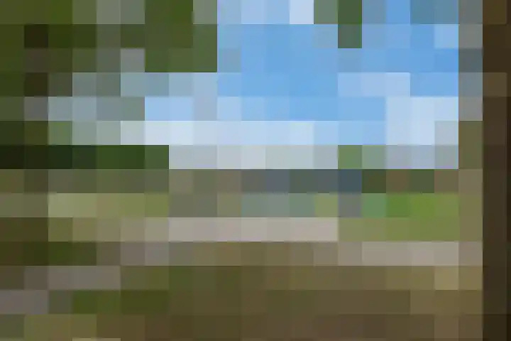 Harry Pauwlaan 4 Den Haag thumbnail 42