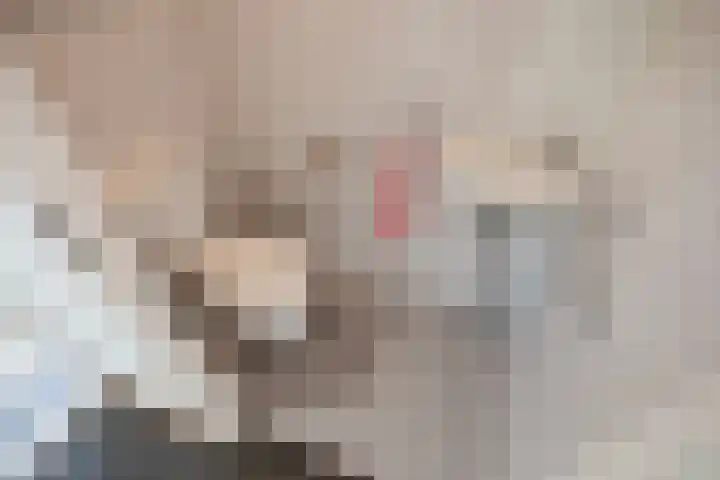 Harry Pauwlaan 4 Den Haag thumbnail 7