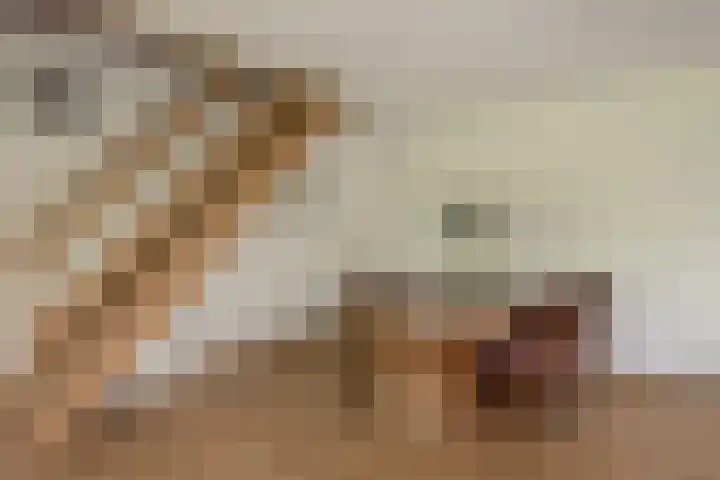 Harry Pauwlaan 4 Den Haag thumbnail 8