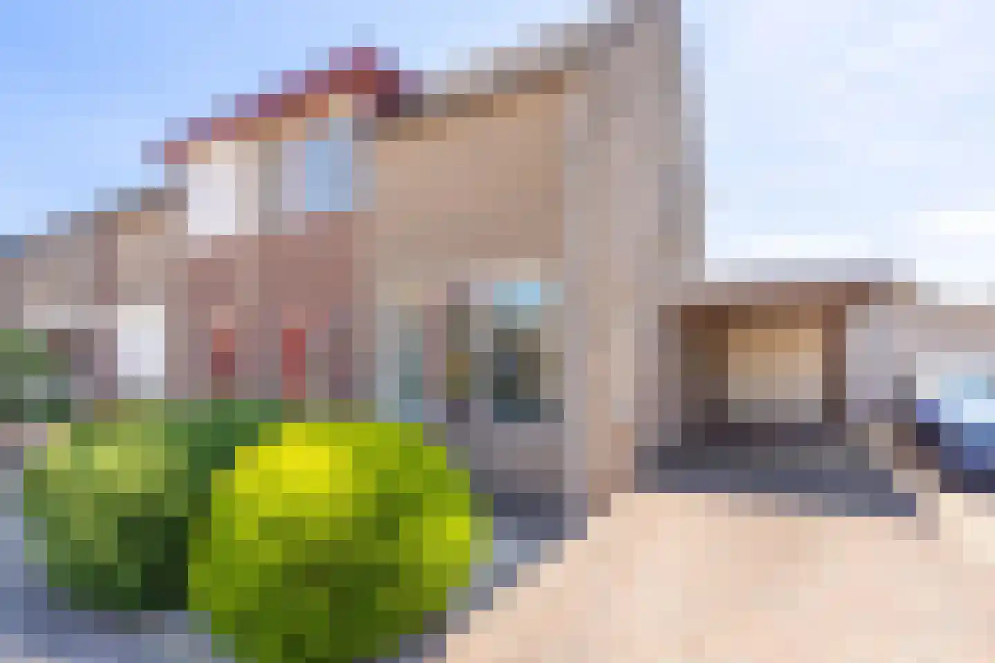 Harry van Daalplein 39 Overloon thumbnail 6