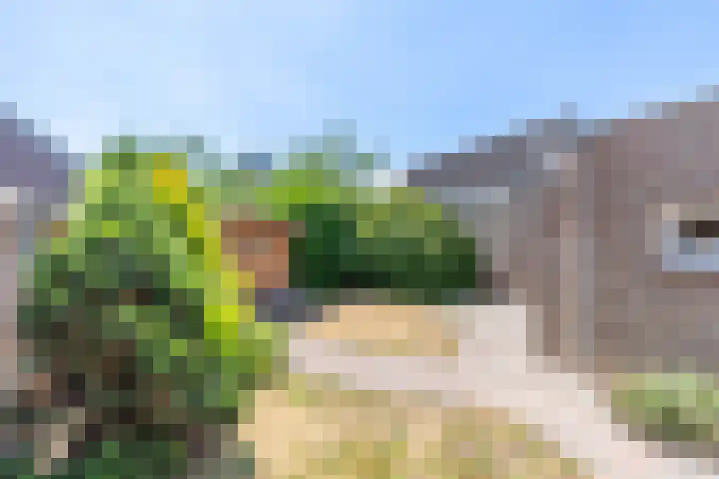 Harry van Daalplein 39 Overloon thumbnail 9