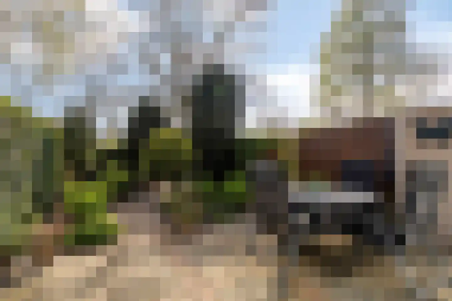 Harseveld 11 Zwijndrecht thumbnail 28