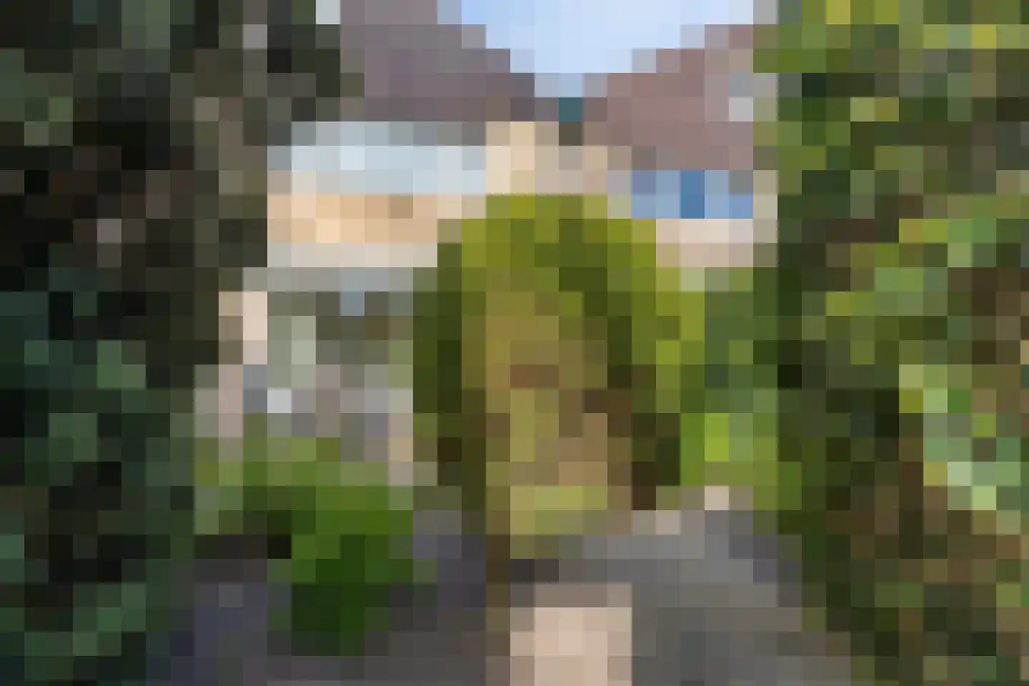 Harseveld 11 Zwijndrecht thumbnail 29