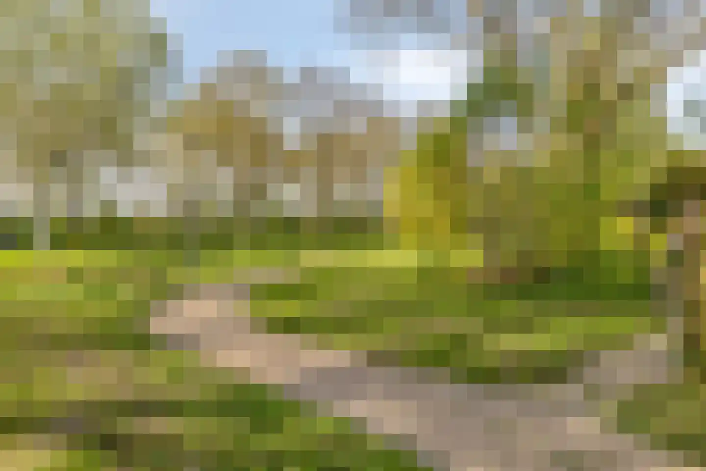 Harseveld 11 Zwijndrecht thumbnail 35