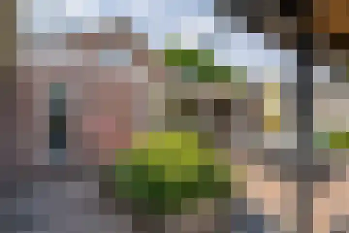 Harskamperweg 10 Otterlo thumbnail 32
