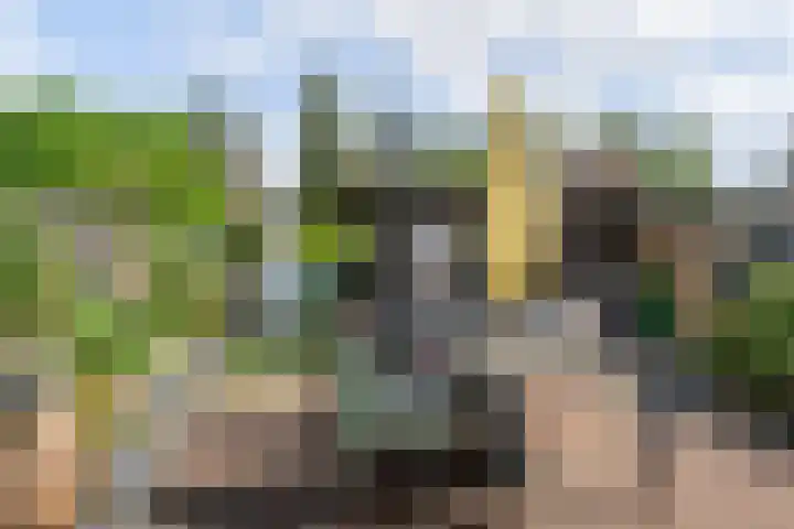 Harskamperweg 10 Otterlo thumbnail 35