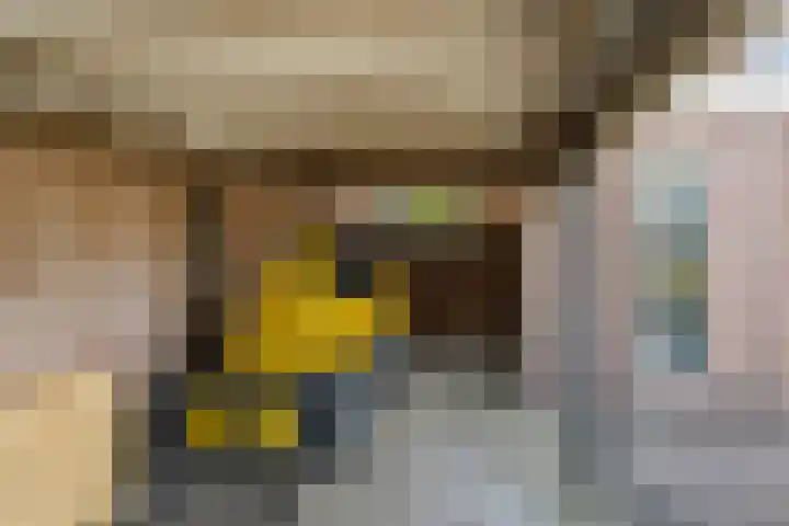 Harskamperweg 10 Otterlo thumbnail 39