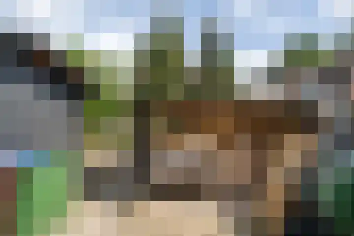 Harskamperweg 10 Otterlo thumbnail 40