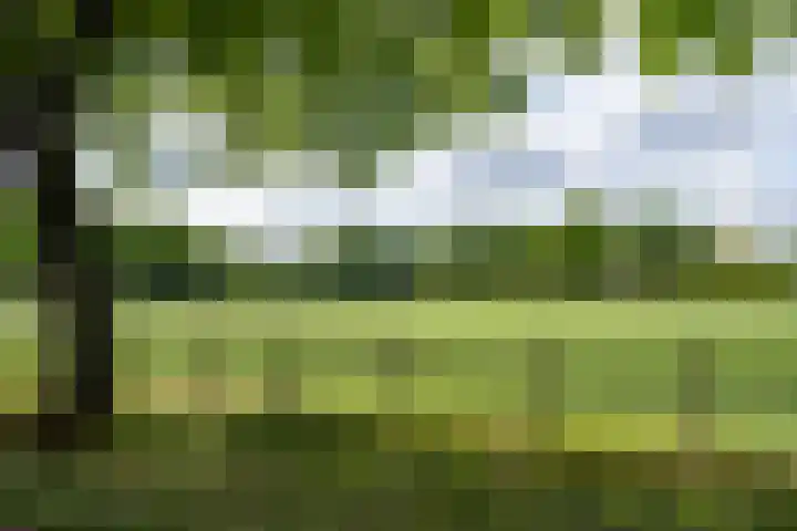 Harskamperweg 10 Otterlo thumbnail 45
