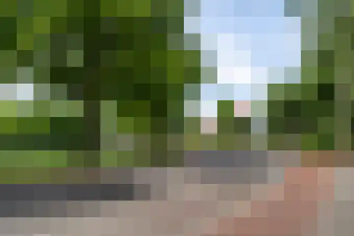 Harskamperweg 10 Otterlo thumbnail 48