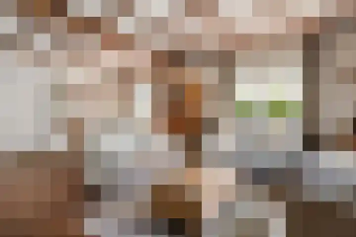 Harskamperweg 10 Otterlo thumbnail 6