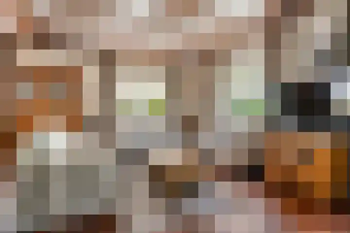 Harskamperweg 10 Otterlo thumbnail 8