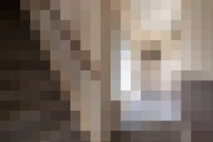 Harskamperweg 11 Kootwijkerbroek thumbnail 16
