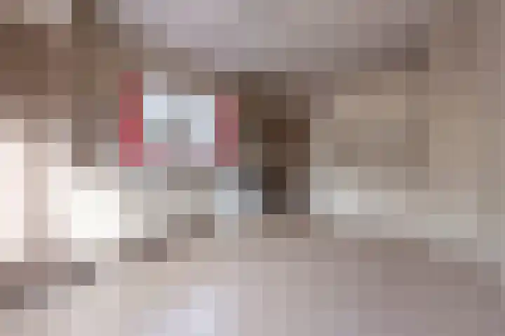 Harskamperweg 11 Kootwijkerbroek thumbnail 17