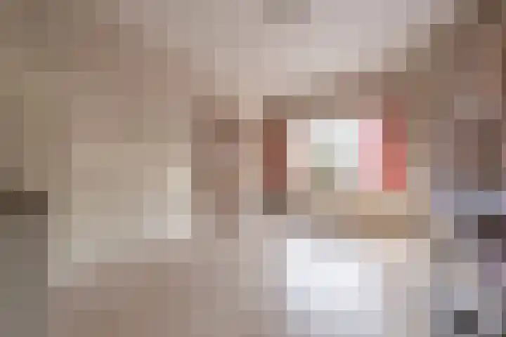 Harskamperweg 11 Kootwijkerbroek thumbnail 18