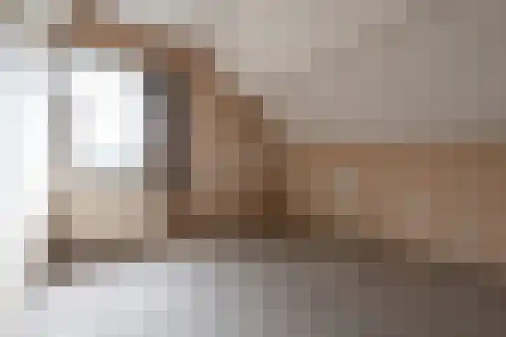 Harskamperweg 11 Kootwijkerbroek thumbnail 24