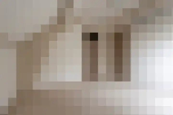 Harskamperweg 11 Kootwijkerbroek thumbnail 28