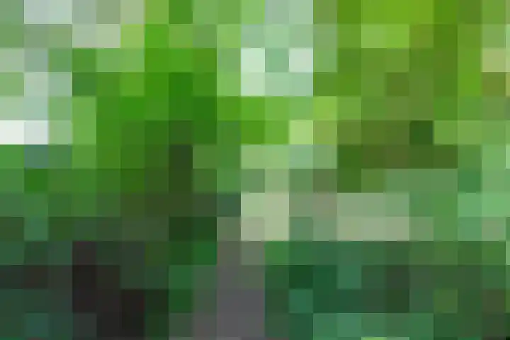 Harskamperweg 11 Kootwijkerbroek thumbnail 33