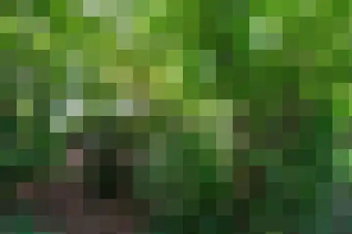 Harskamperweg 11 Kootwijkerbroek thumbnail 34