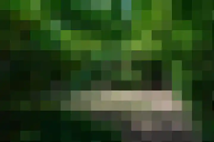 Harskamperweg 11 Kootwijkerbroek thumbnail 35
