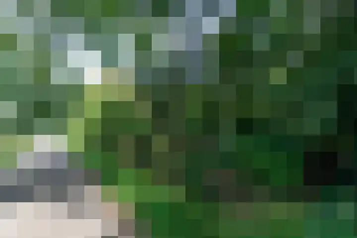 Harskamperweg 11 Kootwijkerbroek thumbnail 36