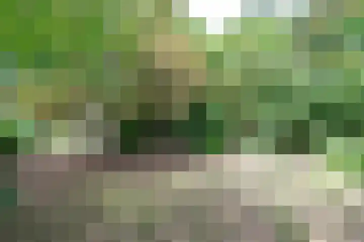 Harskamperweg 11 Kootwijkerbroek thumbnail 37